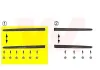 Zier-/Schutzleiste, Tür vorne rechts VAN WEZEL 4028424