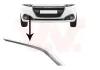 Zier-/Schutzleiste, Sto&szlig;f&auml;nger vorne rechts VAN WEZEL 4035582