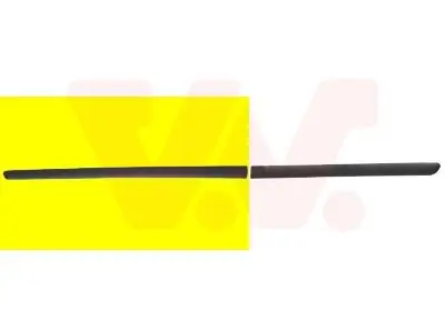 Zier-/Schutzleiste, Tür vorne rechts VAN WEZEL 4040424