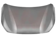 Motorhaube VAN WEZEL 4043660