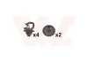 Montagesatz, Motorhaube vorne VAN WEZEL 4371797