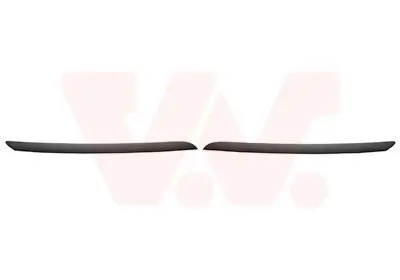 Zier-/Schutzleiste, Kühlergitter links rechts VAN WEZEL 4373511