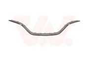 Zier-/Schutzleiste, Kühlergitter VAN WEZEL 4384516