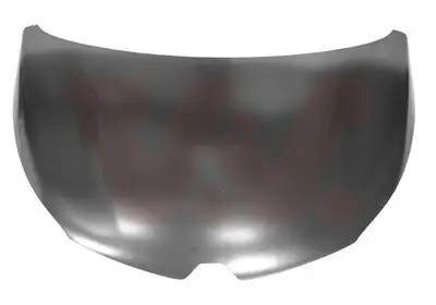 Motorhaube VAN WEZEL 4386660