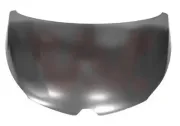 Motorhaube VAN WEZEL 4386660