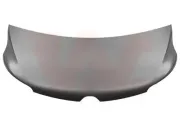 Motorhaube VAN WEZEL 4399660