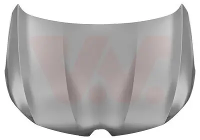 Motorhaube VAN WEZEL 4407660