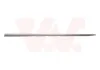 Zier-/Schutzleiste, T&uuml;r vorne links VAN WEZEL 4424423