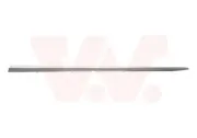 Zier-/Schutzleiste, Tür vorne links VAN WEZEL 4424423