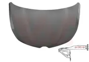 Motorhaube VAN WEZEL 4429660