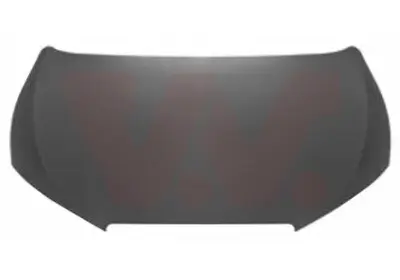 Motorhaube VAN WEZEL 4919660 Bild Motorhaube VAN WEZEL 4919660