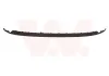 Spoiler hinten VAN WEZEL 4924509