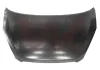 Motorhaube VAN WEZEL 5217660