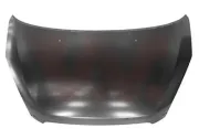 Motorhaube VAN WEZEL 5217660