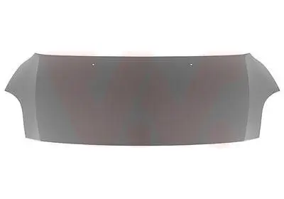 Motorhaube VAN WEZEL 5222660