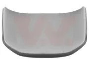 Motorhaube VAN WEZEL 5251660