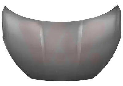 Motorhaube VAN WEZEL 5354660