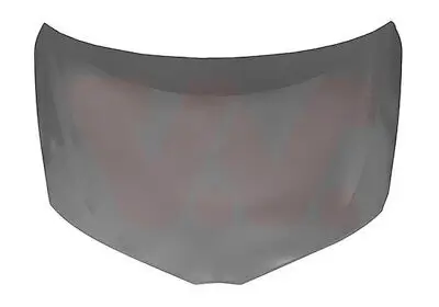 Motorhaube VAN WEZEL 5407660