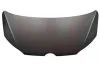 Motorhaube VAN WEZEL 5702660