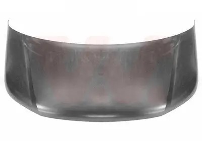 Motorhaube VAN WEZEL 5791660