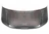 Motorhaube VAN WEZEL 5791660