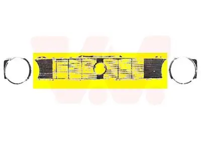 Kühlergitter Mitte VAN WEZEL 5810510