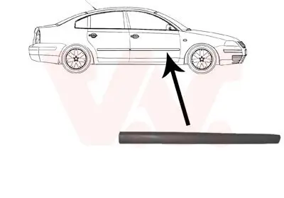 Zier-/Schutzleiste, Tür VAN WEZEL 5836424