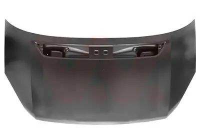 Motorhaube VAN WEZEL 5862660