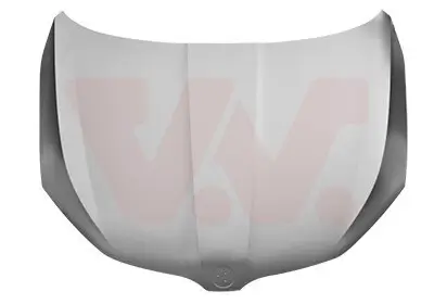 Motorhaube VAN WEZEL 7631660