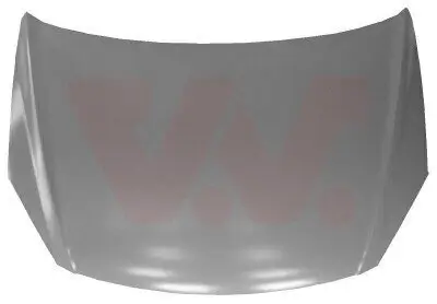 Motorhaube VAN WEZEL 8207660