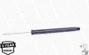 Stoßdämpfer Hinterachse MONROE 43129 Bild Stoßdämpfer Hinterachse MONROE 43129