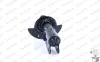 Stoßdämpfer Vorderachse MONROE 71661 Bild Stoßdämpfer Vorderachse MONROE 71661