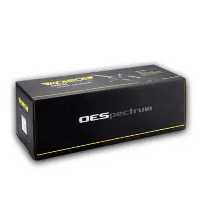 Stoßdämpfer Hinterachse MONROE 43135 Bild Stoßdämpfer Hinterachse MONROE 43135