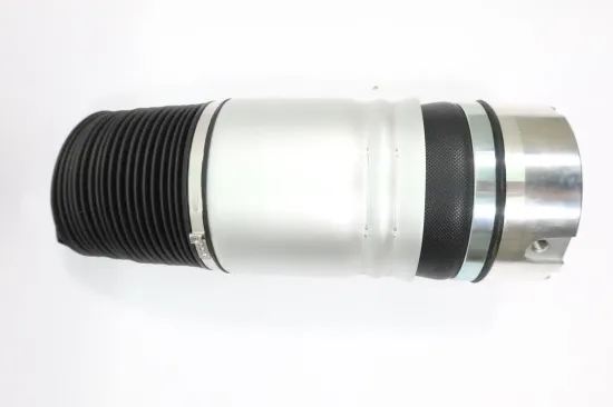 Luftfeder, Fahrwerk Hinterachse MONROE ASP004 Bild Luftfeder, Fahrwerk Hinterachse MONROE ASP004