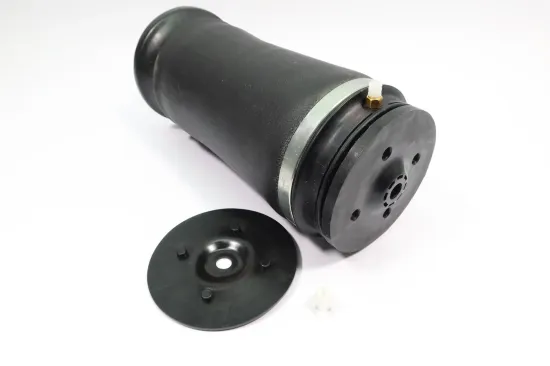 Luftfeder, Fahrwerk Hinterachse MONROE ASP005 Bild Luftfeder, Fahrwerk Hinterachse MONROE ASP005