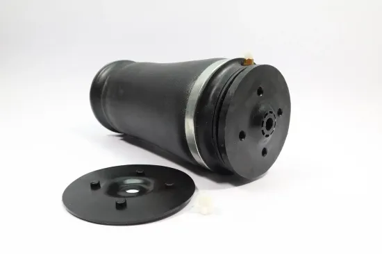 Luftfeder, Fahrwerk Hinterachse MONROE ASP005 Bild Luftfeder, Fahrwerk Hinterachse MONROE ASP005