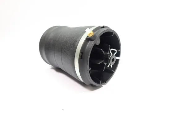 Luftfeder, Fahrwerk Hinterachse MONROE ASP006 Bild Luftfeder, Fahrwerk Hinterachse MONROE ASP006