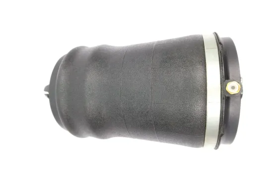 Luftfeder, Fahrwerk Hinterachse MONROE ASP006 Bild Luftfeder, Fahrwerk Hinterachse MONROE ASP006