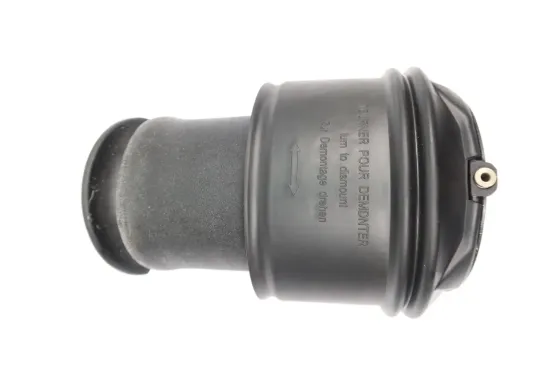 Luftfeder, Fahrwerk Hinterachse MONROE ASP007 Bild Luftfeder, Fahrwerk Hinterachse MONROE ASP007