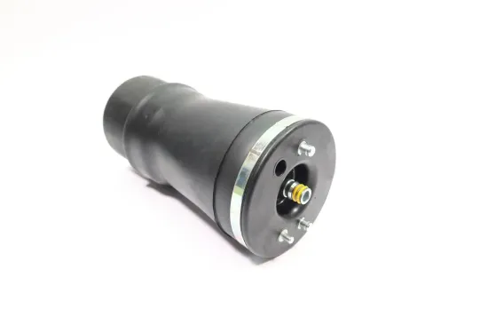 Luftfeder, Fahrwerk Hinterachse rechts MONROE ASP010 Bild Luftfeder, Fahrwerk Hinterachse rechts MONROE ASP010