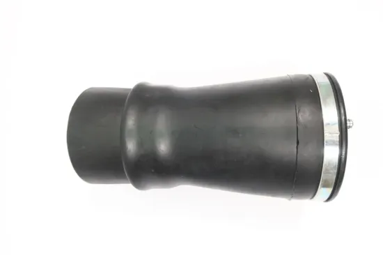 Luftfeder, Fahrwerk Hinterachse rechts MONROE ASP010 Bild Luftfeder, Fahrwerk Hinterachse rechts MONROE ASP010