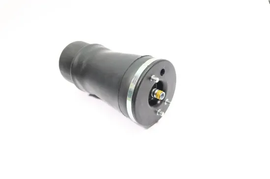 Luftfeder, Fahrwerk Hinterachse links MONROE ASP011 Bild Luftfeder, Fahrwerk Hinterachse links MONROE ASP011