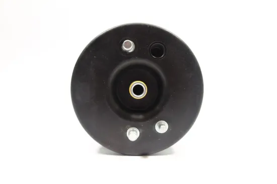 Luftfeder, Fahrwerk Hinterachse links MONROE ASP011 Bild Luftfeder, Fahrwerk Hinterachse links MONROE ASP011