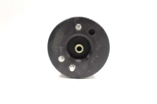 Luftfeder, Fahrwerk Hinterachse rechts MONROE ASP012 Bild Luftfeder, Fahrwerk Hinterachse rechts MONROE ASP012