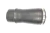 Luftfeder, Fahrwerk Hinterachse rechts MONROE ASP012