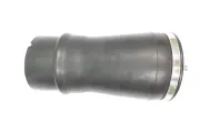 Luftfeder, Fahrwerk Hinterachse rechts MONROE ASP012