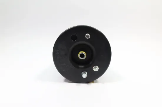 Luftfeder, Fahrwerk Hinterachse links MONROE ASP013 Bild Luftfeder, Fahrwerk Hinterachse links MONROE ASP013