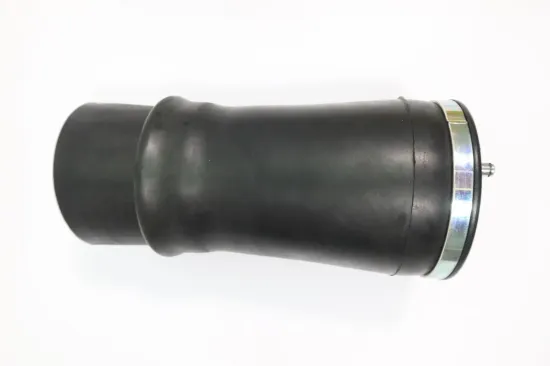 Luftfeder, Fahrwerk Hinterachse links MONROE ASP013 Bild Luftfeder, Fahrwerk Hinterachse links MONROE ASP013