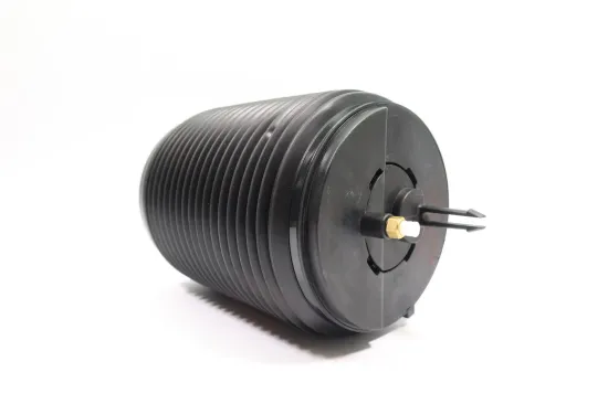 Luftfeder, Fahrwerk Hinterachse rechts MONROE ASP016 Bild Luftfeder, Fahrwerk Hinterachse rechts MONROE ASP016