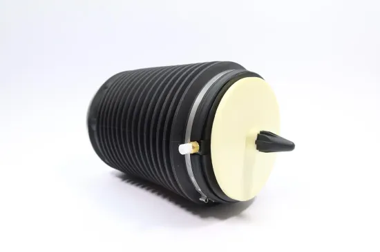 Luftfeder, Fahrwerk Hinterachse rechts MONROE ASP018 Bild Luftfeder, Fahrwerk Hinterachse rechts MONROE ASP018